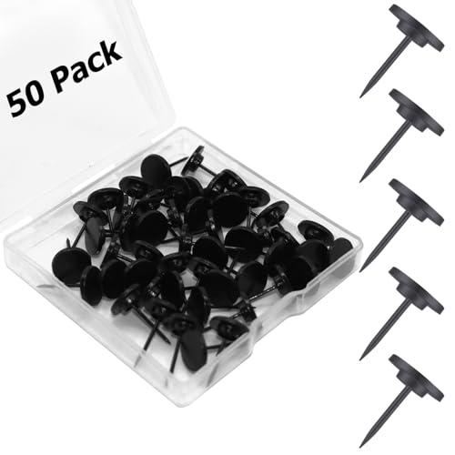 https://m.media-amazon.com/images/I/41169saHcXL.jpg