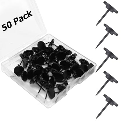 https://m.media-amazon.com/images/I/41169saHcXL.jpg